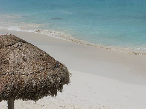 Palm Frawn Hut Overlooking Caribbean Sea stock photo