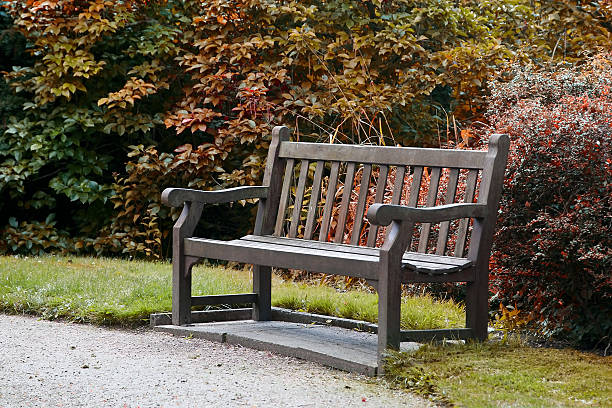 istock Wooden bench in garden 478040355