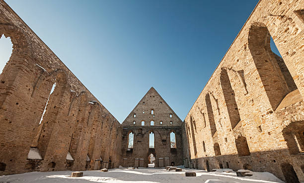 무너진 내륙발 of 복음사가 brigitta 수녀원 in 피리타, 에스토니아 탈린 - estonia tallinn old ruin ruined 뉴스 사진 이미지