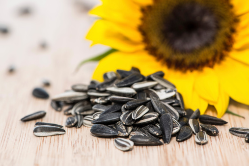 Sunflower with Seeds on wooden background (macro shot)