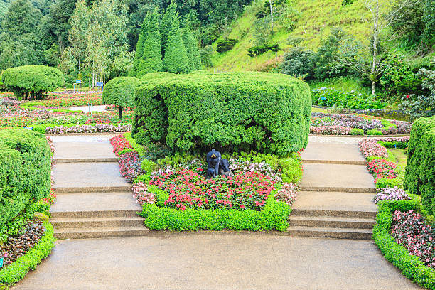 istock green plant of natural environment 478043113