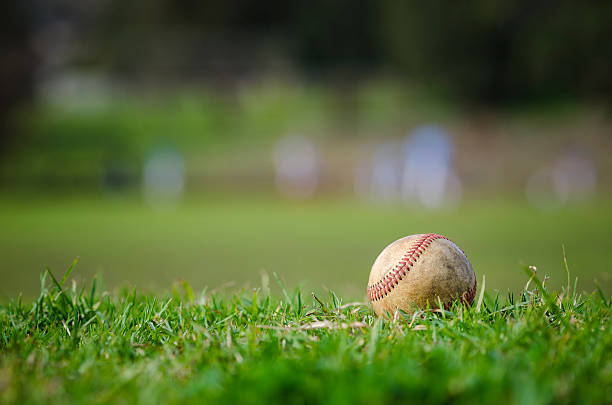 Used baseball on fresh green grass Used baseball laying on fresh green grass with baseball players in the background baseball baseballs spring training professional sport stock pictures, royalty-free photos & images