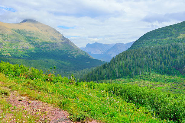 istock Glacier National Park alpine landscape 478044518