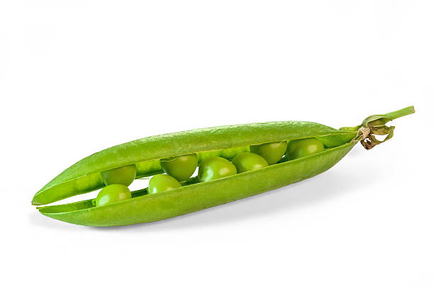pea - green pea pea pod sweet food freshness 뉴스 사진 이미지