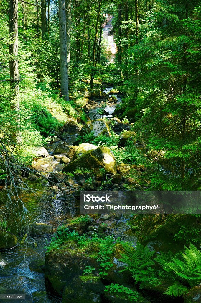 Triberg Waterfalls in the Black Forest, Germany 2015 Stock Photo