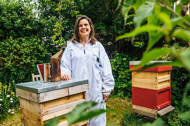 Beekeeper with her beehives Urban beekeeper smiling with her beehives in her London back garden. Proud, smiling female apiarist. apiculture photos stock pictures, royalty-free photos & images