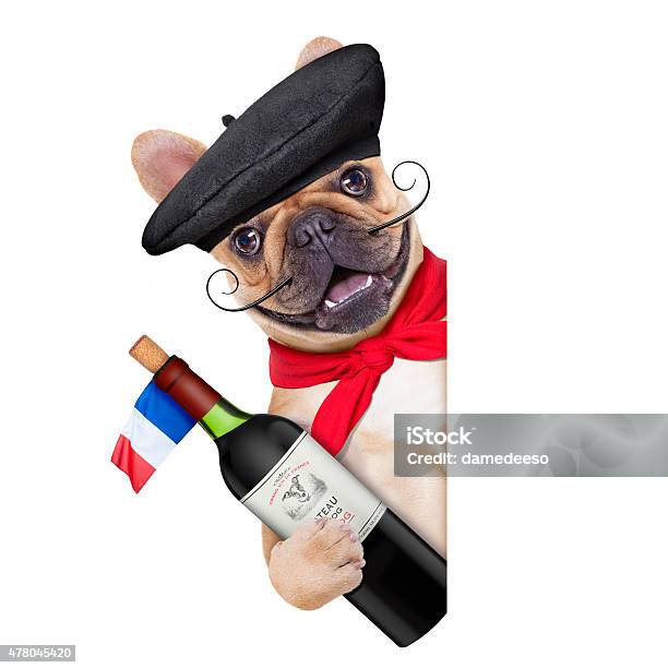 French Dog Stock Photo - Download Image Now - 2015, Alcohol - Drink, Animal