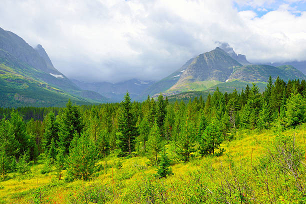 istock Glacier National Park landscape 478045646