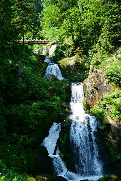 triberg wodospady w czarnym lesie, niemcy - black forest waterfall triberg landscape zdjęcia i obrazy z banku zdjęć