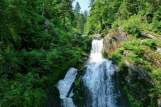 triberg wodospady w czarnym lesie, niemcy - black forest waterfall triberg landscape zdjęcia i obrazy z banku zdjęć