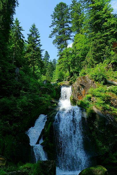 triberg 폭포 검정색 임산, 독일 - black forest waterfall triberg landscape 뉴스 사진 이미지