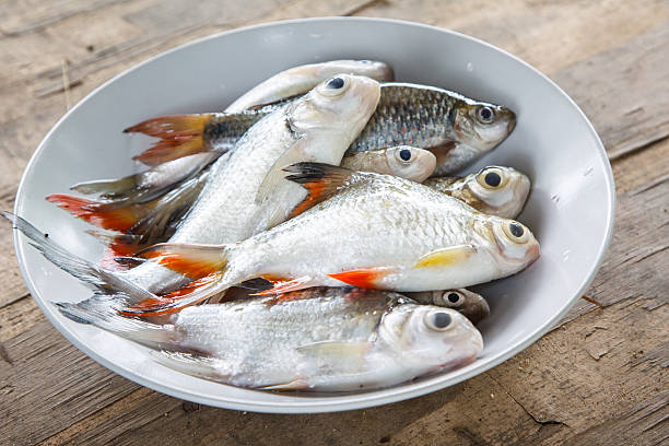 istock Different lind of raw fish on dish 478046811