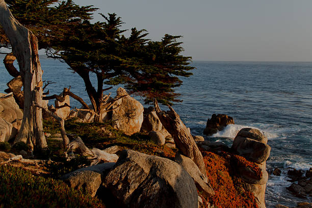 seacoast - pebble beach california foto e immagini stock
