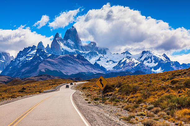 istock On the road is  graceful guanaco 478050082