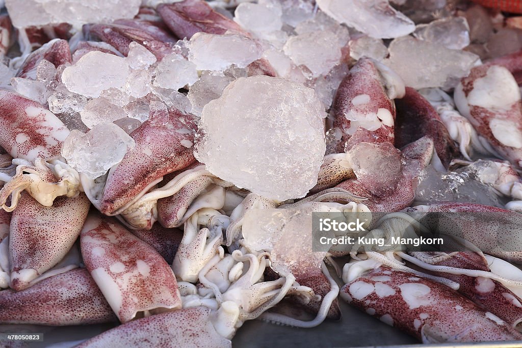 Fressh Squid Fressh Squid on the tray in Market Food Stock Photo