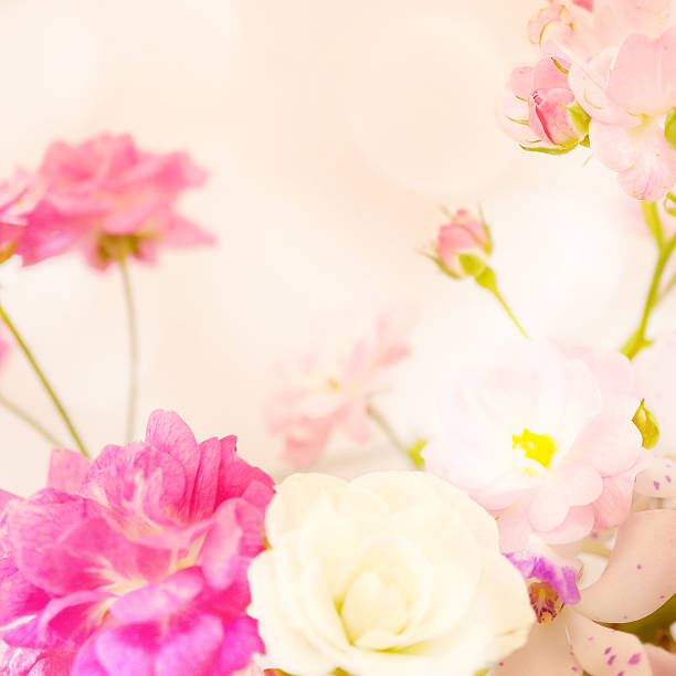 istock sweet color roses in soft blur style 478050842