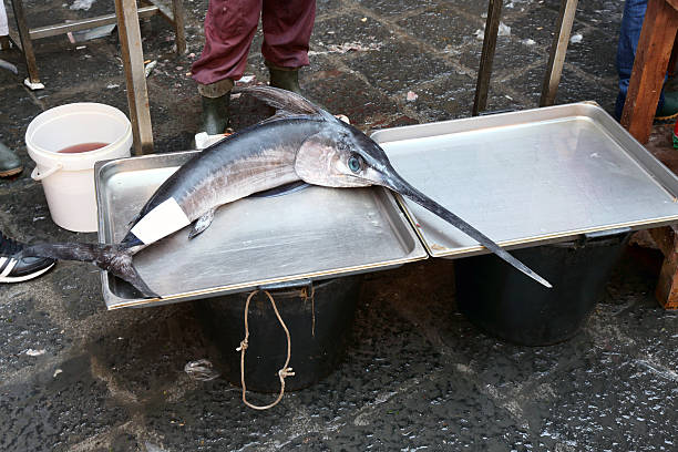 swordfish na rynku w katania - trapani close up sicily italy zdjęcia i obrazy z banku zdjęć