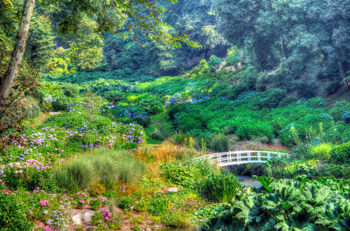 Ornate Gardens bridge, valley of trees and flowers