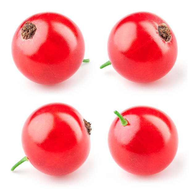 czerwona porzeczka isolated. pobrania - currant red isolated fruit zdjęcia i obrazy z banku zdjęć
