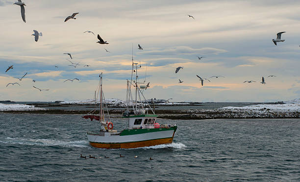 fishingboat chega. - rost island imagens e fotografias de stock