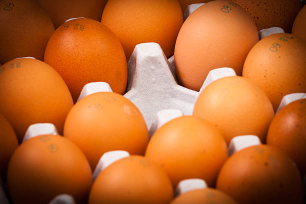 70+ Preclude Stock Photos, Pictures & Royalty-Free Images - iStock