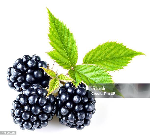 Blackberry Isolated Stock Photo - Download Image Now - Berry Fruit, Black Color, Blackberry - Fruit