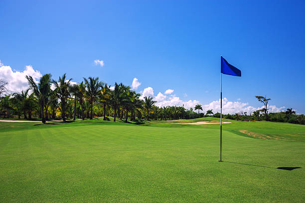 tropische landschaft von einem golf court mit palmen - golf golf flag sunset flag stock-fotos und bilder