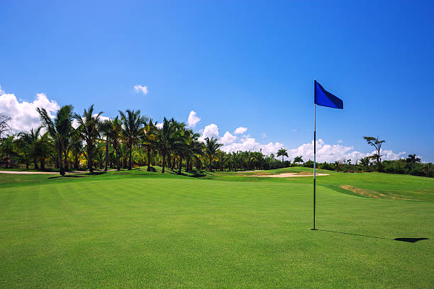 Tropical landscape of a golf court with palm trees stock photo