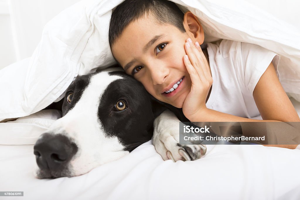 Молодой мальчик лежал в постели с его собака - Стоковые фото Домашний быт роялти-фри