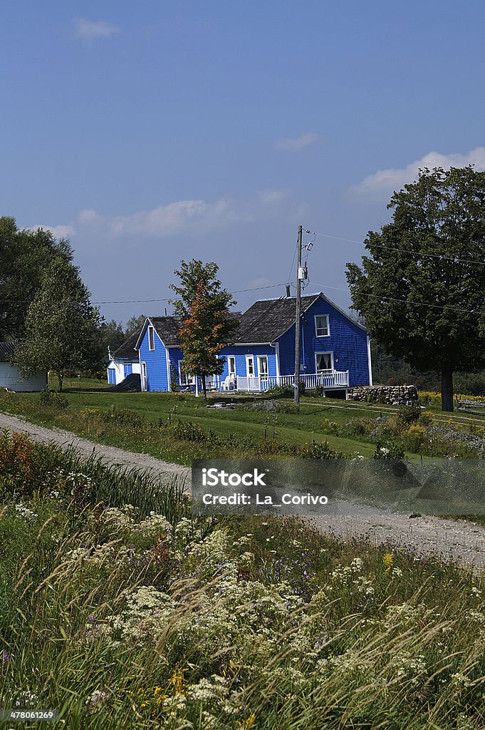Piccola casa blu con fiori di campo - Foto stock royalty-free di Agricoltura