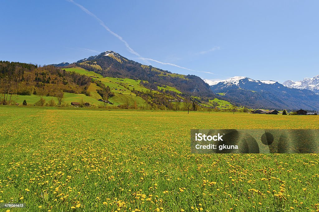 Alpes suisses - Photo de Agriculture libre de droits