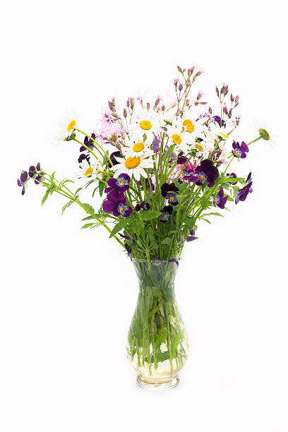 istock camomile and wild flowers bouquet on a white background 478065268