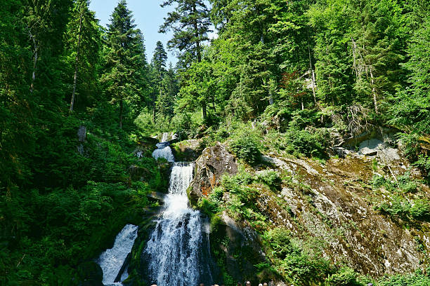 triberg wodospady w czarnym lesie, niemcy - black forest waterfall triberg landscape zdjęcia i obrazy z banku zdjęć