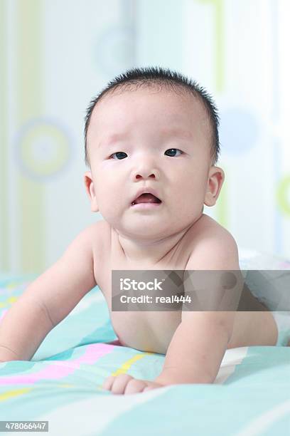 귀여운 아기 아시아판 2-5 개월에 대한 스톡 사진 및 기타 이미지 - 2-5 개월, 6-11 개월, 귀여운