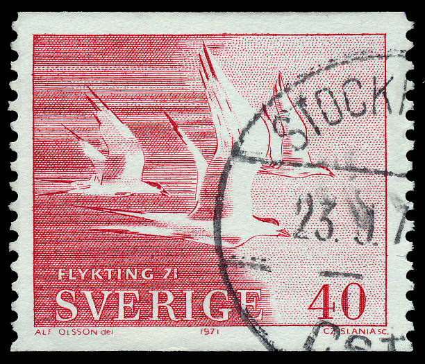 istock Stamp printed in the Sweden shows Terns in Flight 478066653