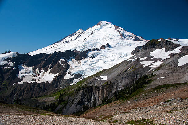 гора бейкер - north cascades national park pacific northwest flower cascade range стоковые фото и изображения