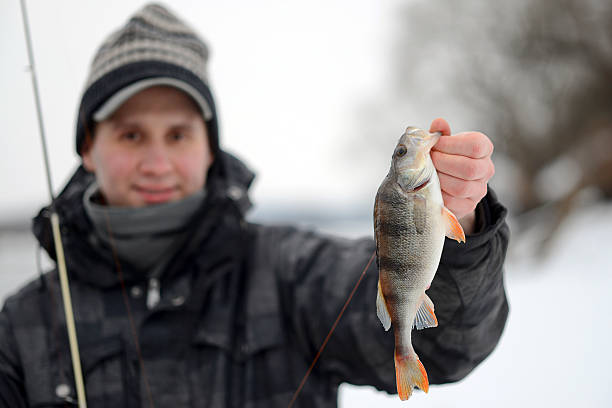 mann hält einen fisch im winter - pike dive stock-fotos und bilder