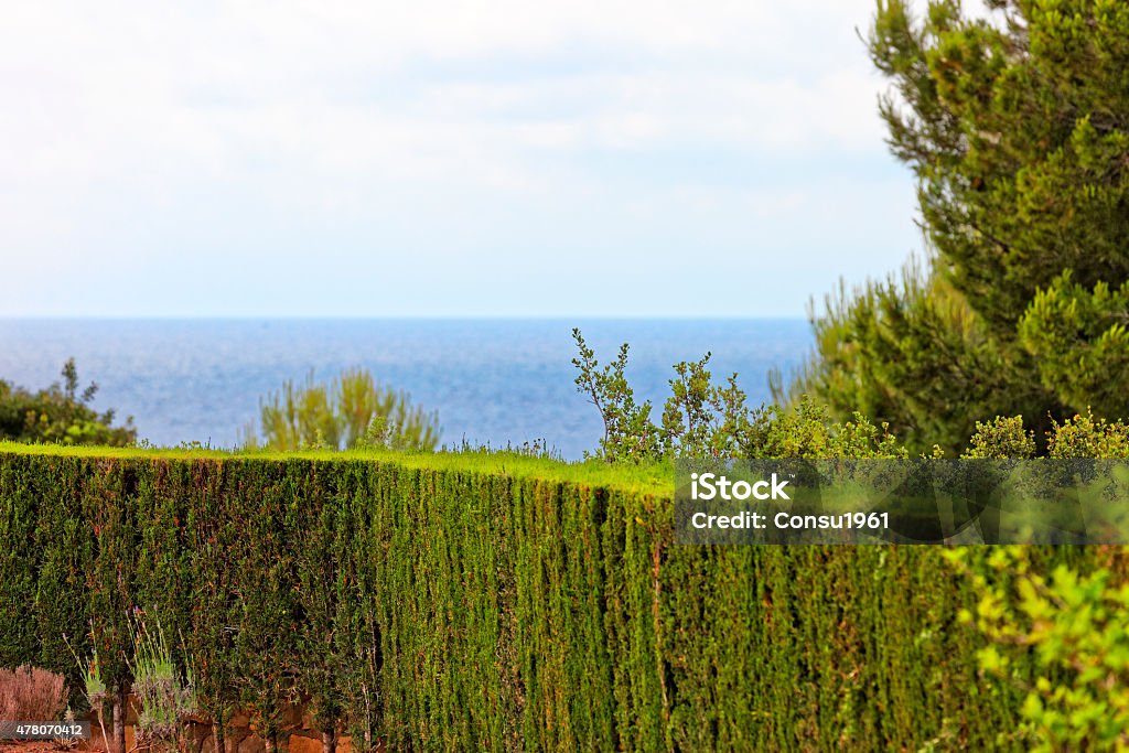 Con vista al mar - Foto de stock de 2015 libre de derechos