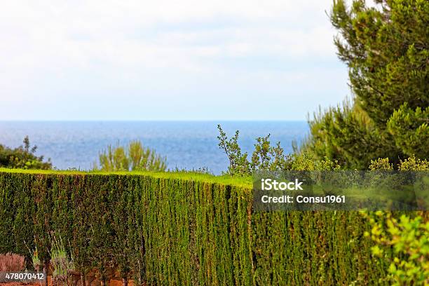 Con Vista Al Mar Foto de stock y más banco de imágenes de 2015 - 2015, Abstracto, Aire libre