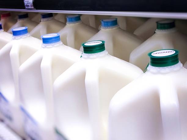 Gallon Jugs of Organic Milk at the Supermarket Bottles specifically labeled ORGANIC milk milk jug stock pictures, royalty-free photos & images