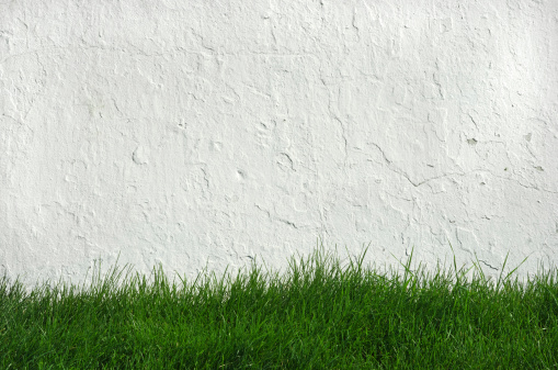 White painted wall and green grass background