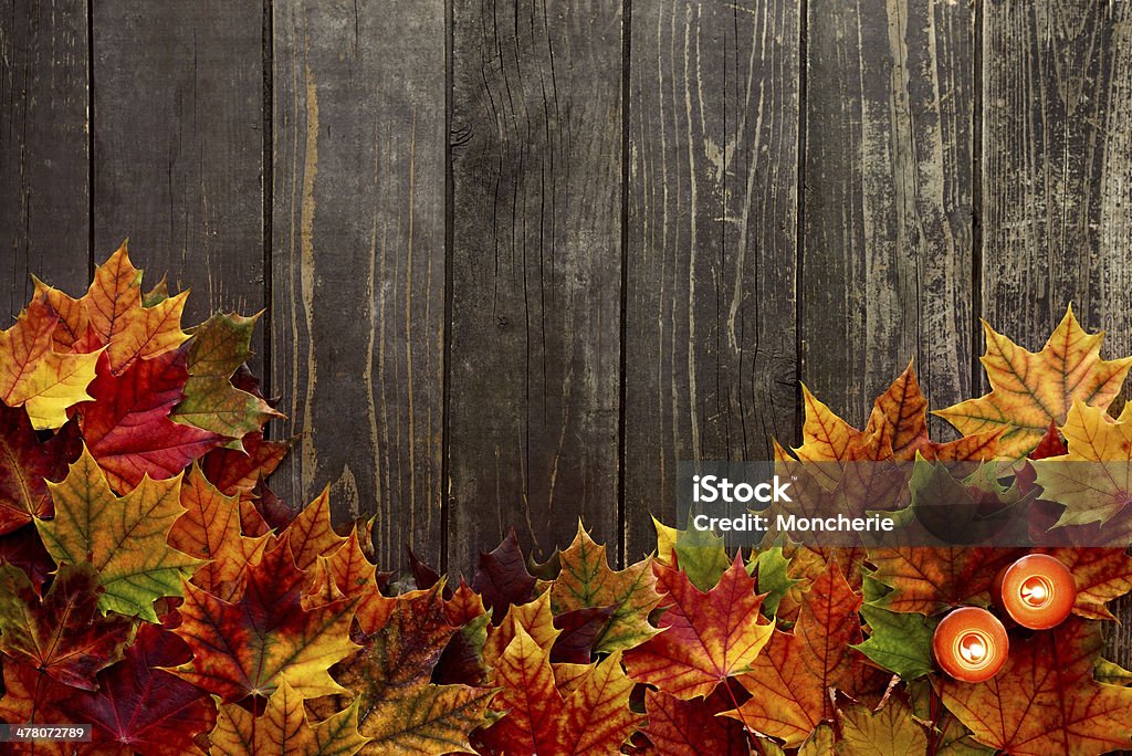 Autumn background with maple leaves on old woods Autumn Stock Photo