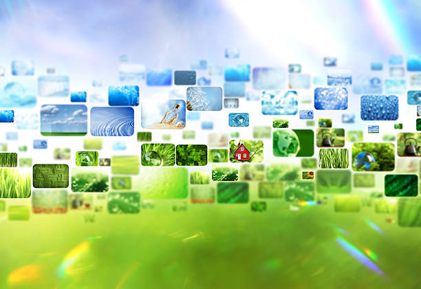 istock Collage of images 478073887