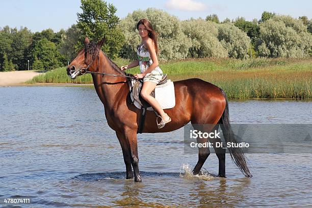 Woman With Big Brown Horse Stock Photo - Download Image Now - Active Lifestyle, Activity, Adult