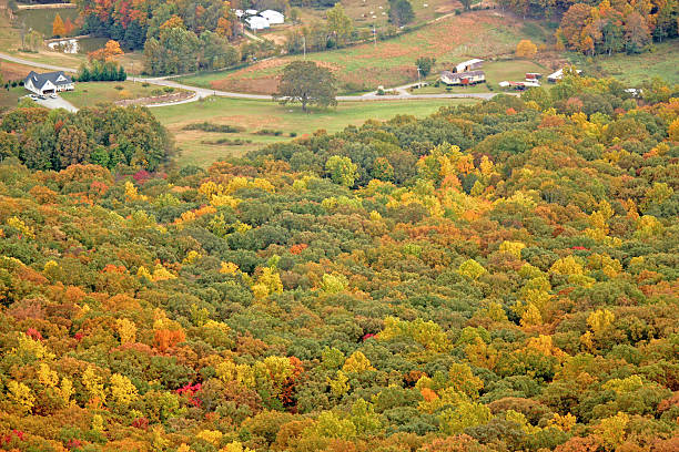 istock Autum scenery in the mountains 478075127