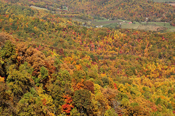 istock Autum scenery in the mountains 478075329