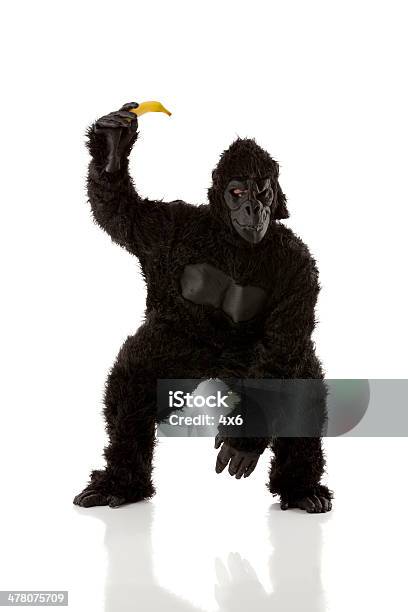 Mann In Gorilla Kostüm Holding Banana Stockfoto und mehr Bilder von Gorilla - Gorilla, Studioaufnahme, Stehen