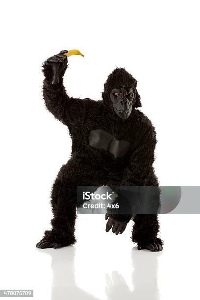 Uomo In Costume Con Banana Gorilla - Fotografie stock e altre immagini di Gorilla - Gorilla, Fotografia da studio, Stare in piedi