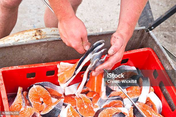 Lachsfilets Und Steaks Stockfoto und mehr Bilder von Arbeiten - Arbeiten, Behälter, Bewegungsunschärfe