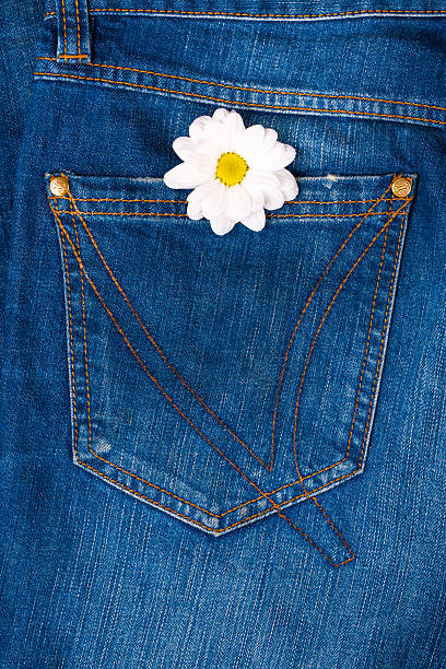 istock pink gerber in jeans pocket 478080178
